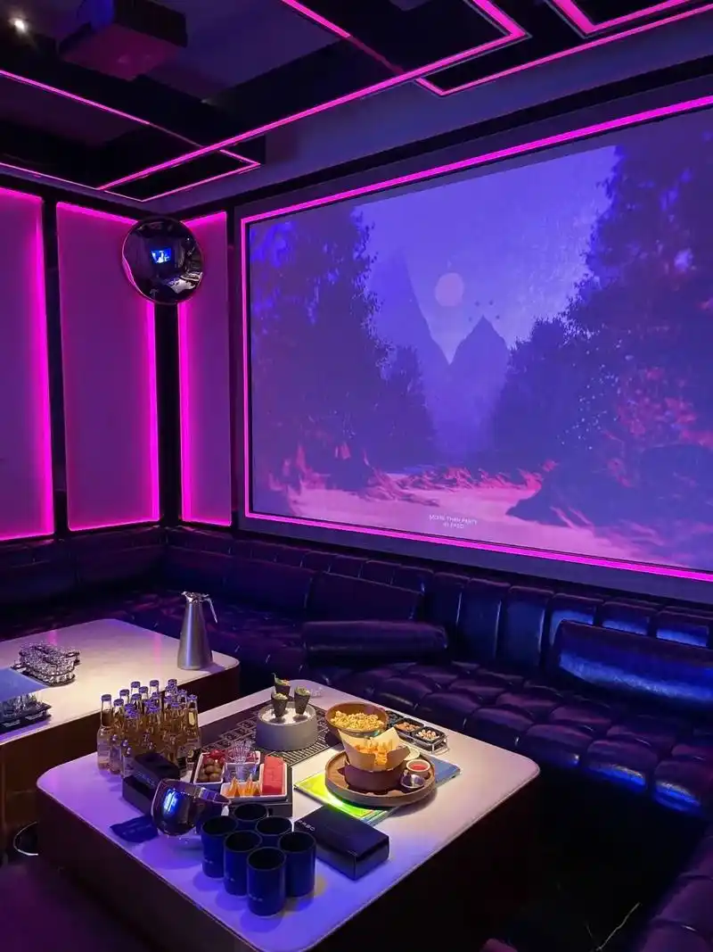 自贡商务ktv服务质量怎么样分析-大安区ktv预定